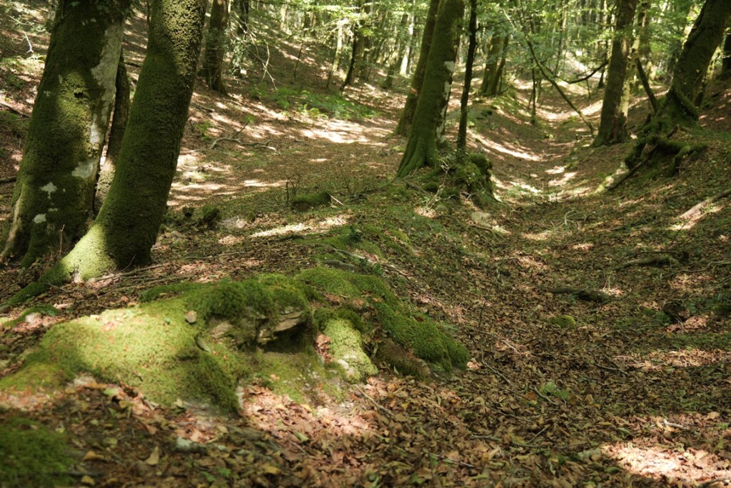 aspromonte antiche mura romane