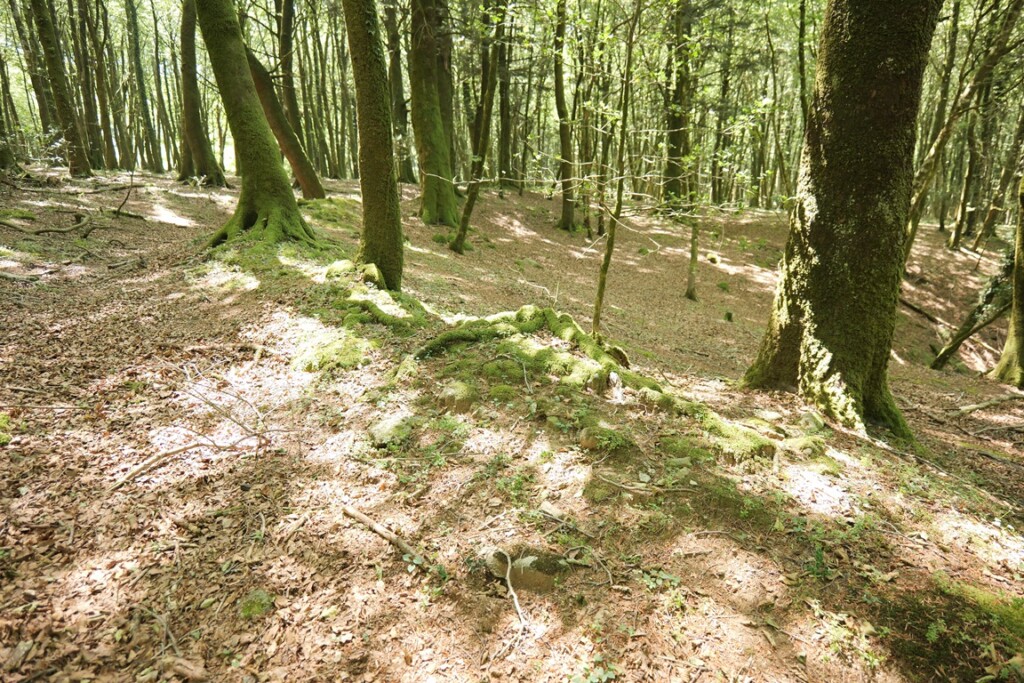 aspromonte antiche mura romane