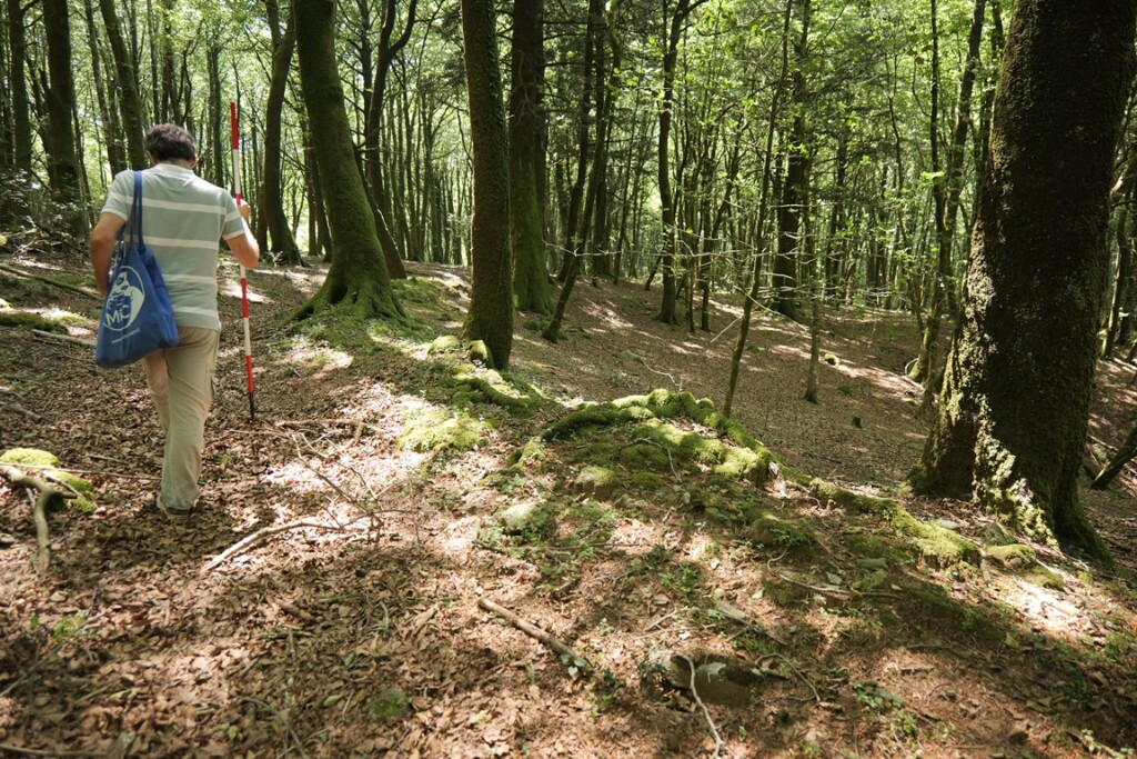 aspromonte antiche mura romane
