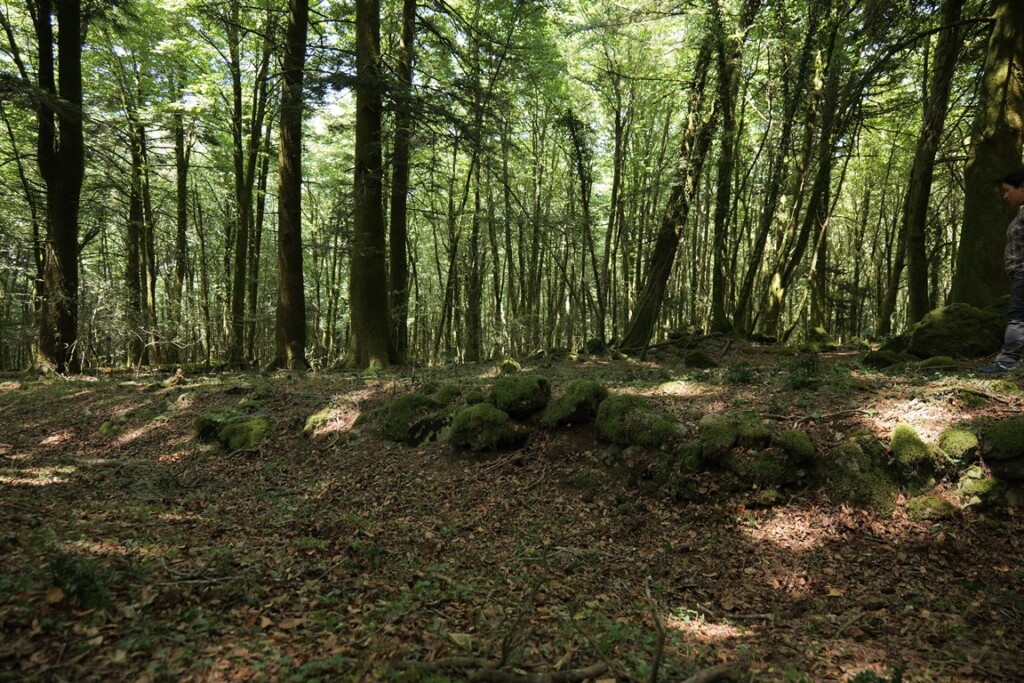 aspromonte antiche mura romane