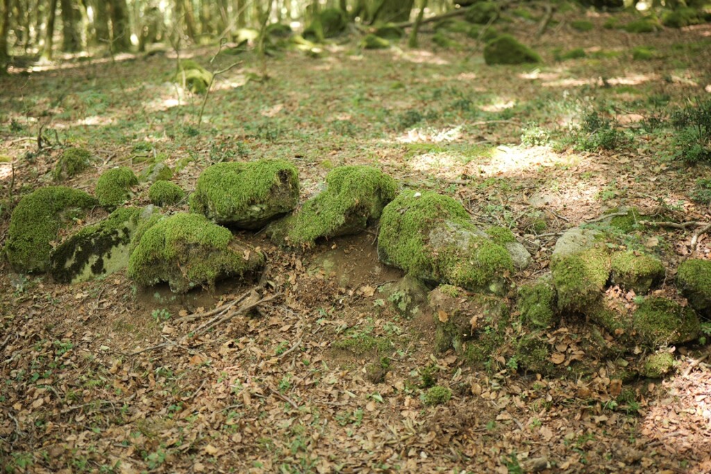 aspromonte antiche mura romane