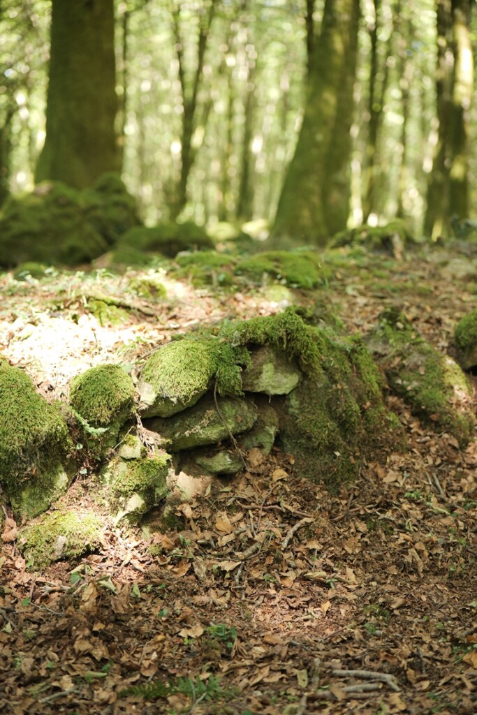 aspromonte antiche mura romane