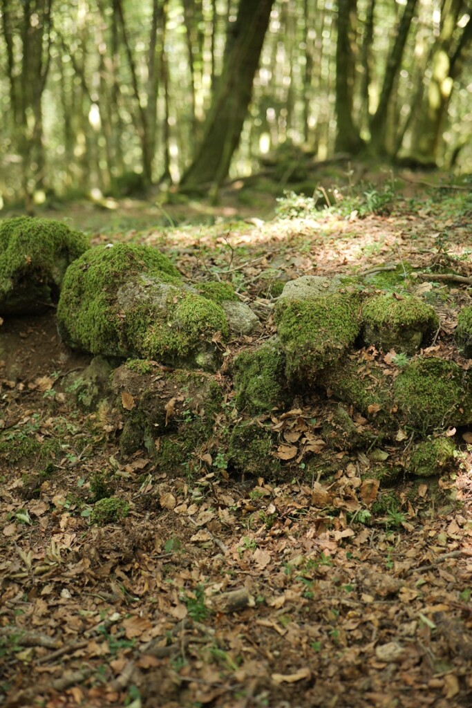 aspromonte antiche mura romane