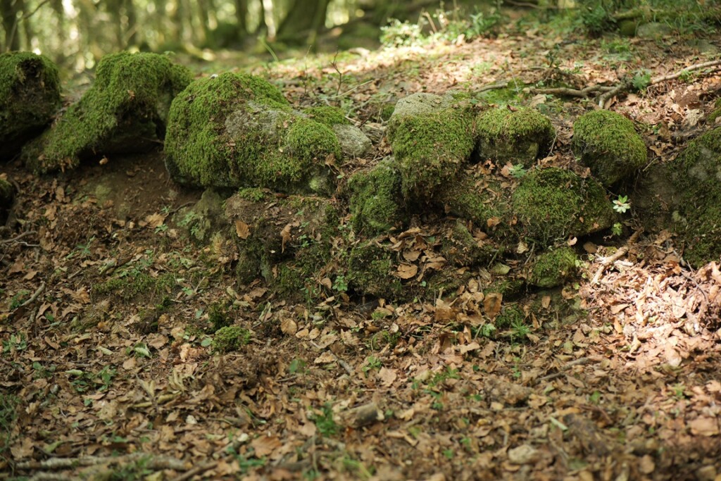 aspromonte antiche mura romane