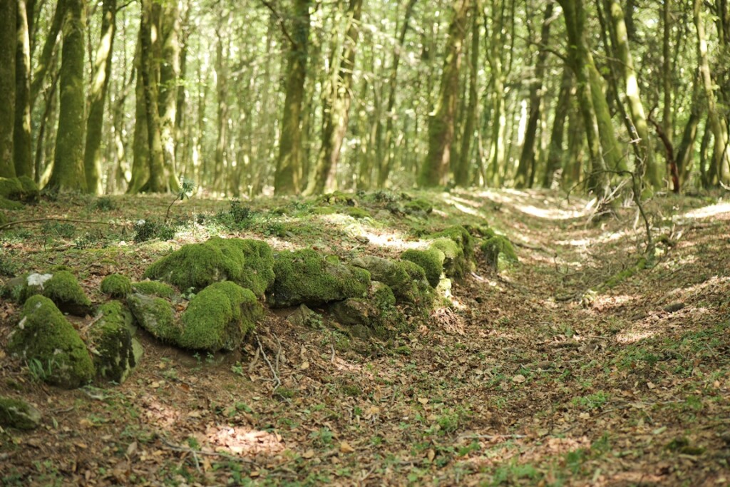 aspromonte antiche mura romane