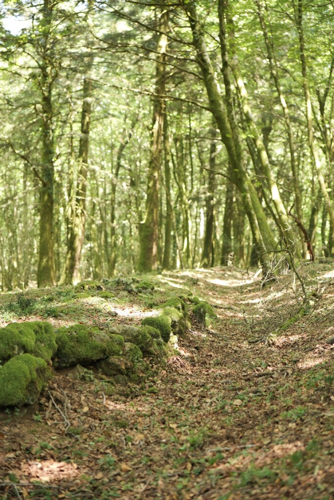 aspromonte antiche mura romane