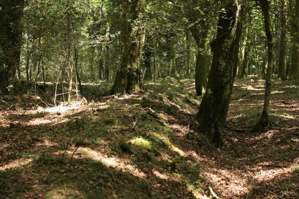 aspromonte antiche mura romane
