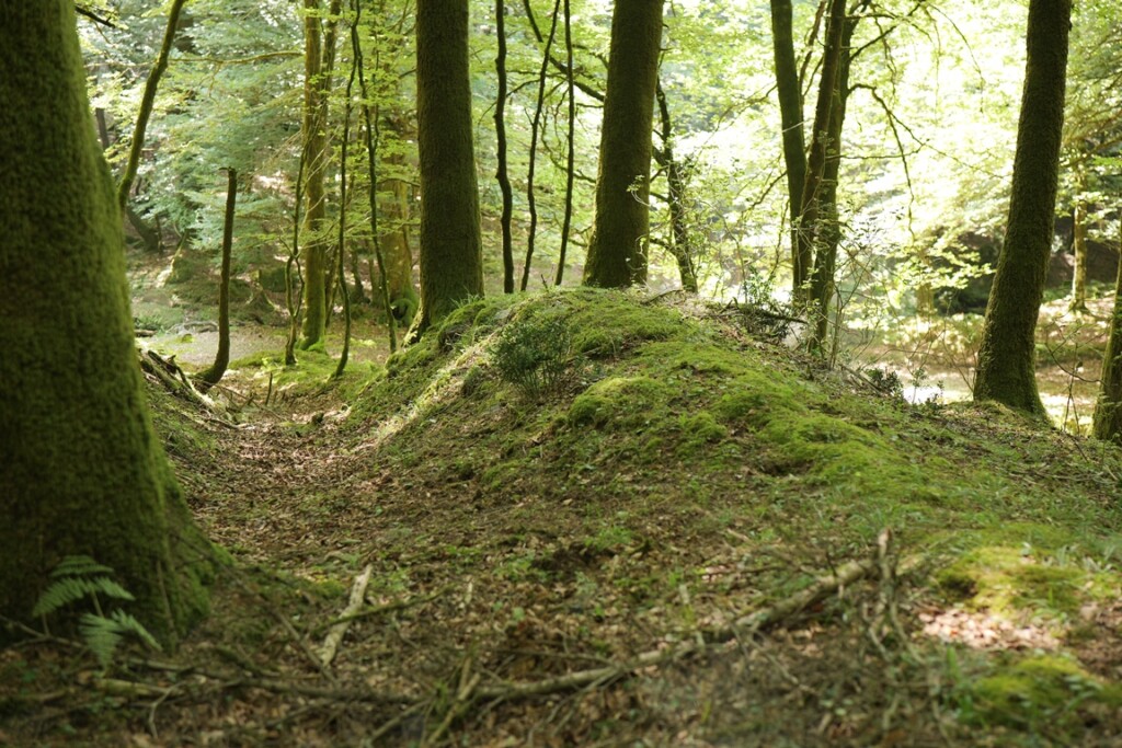 aspromonte antiche mura romane
