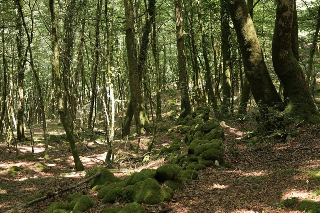 aspromonte antiche mura romane
