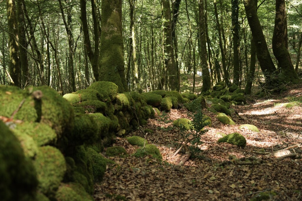 aspromonte antiche mura romane