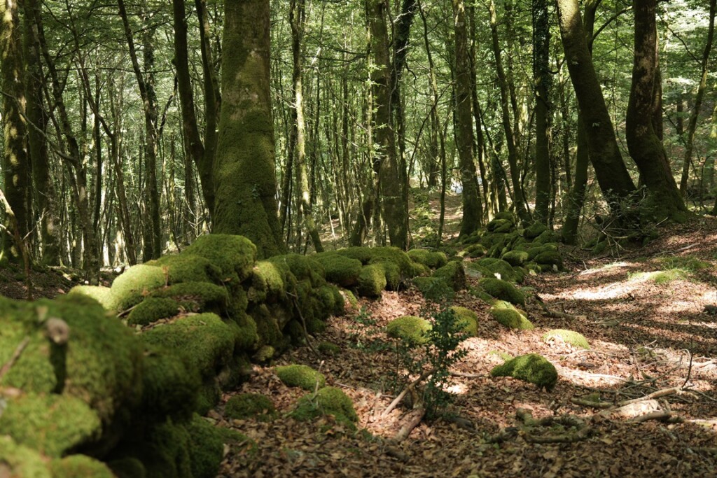 aspromonte antiche mura romane