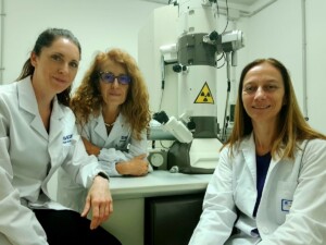 Dimostrato per la prima volta l'asse intestino-sistema nervoso periferico
