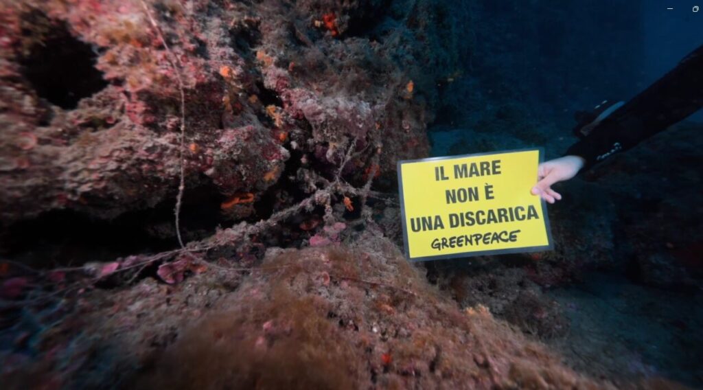 greenpeace