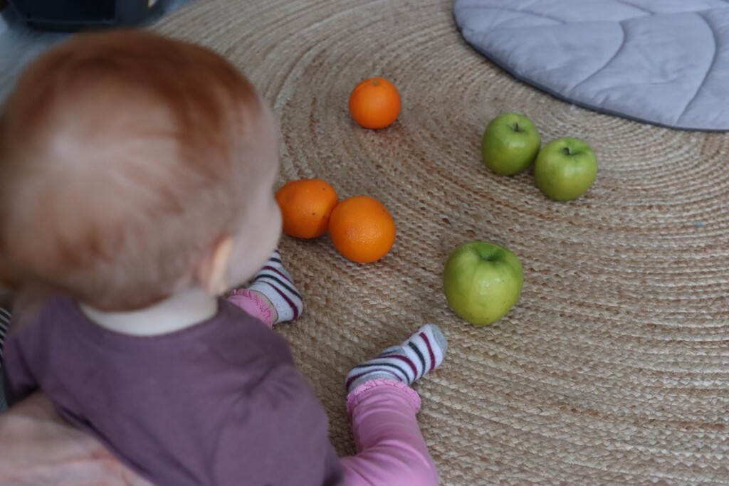 bambino piccolo studio apprendimento