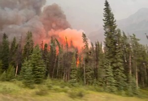 incendi alberta canada jasper national park
