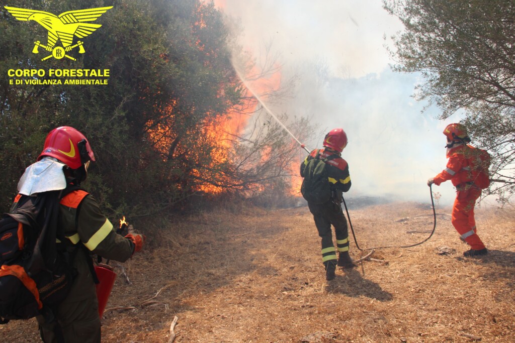 incendi sardegna