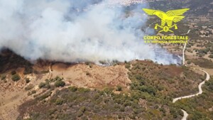 incendi sardegna