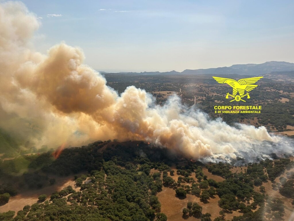 incendi sardegna