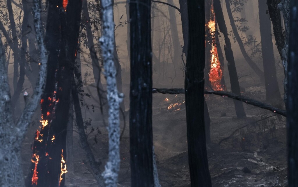 incendio california park fire