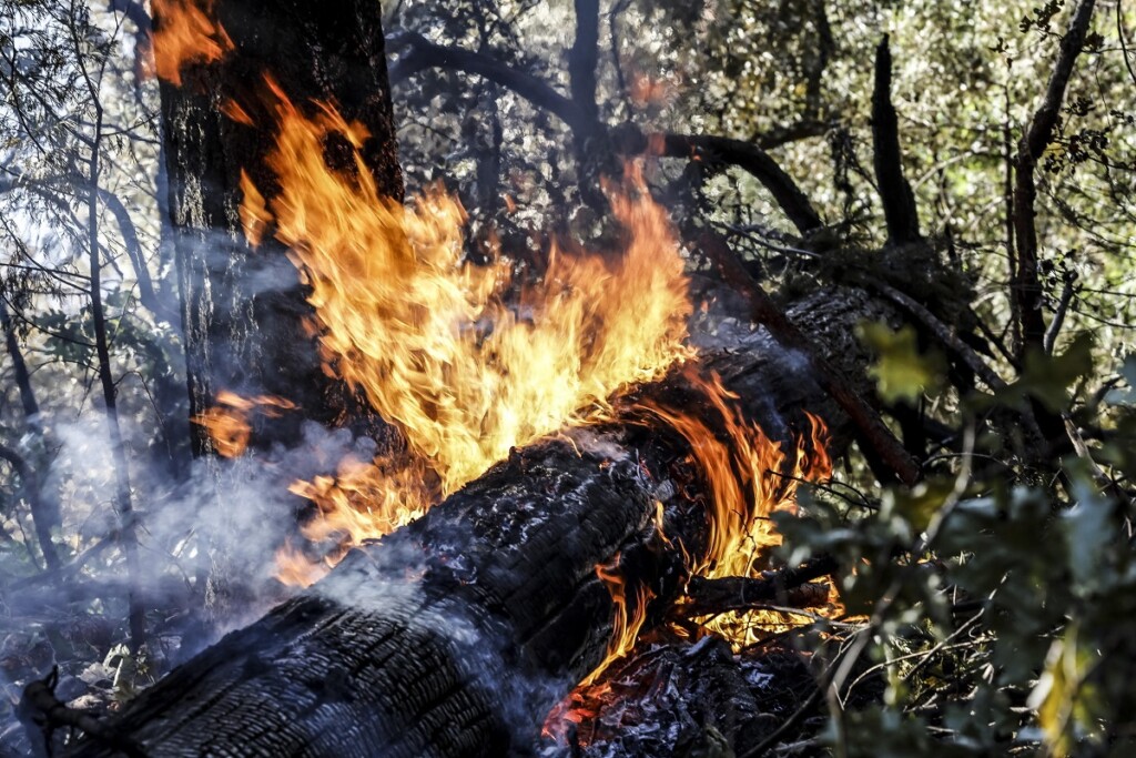 incendio california park fire