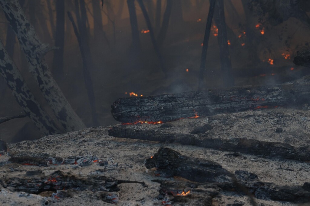 incendio california park fire