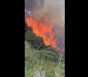 incendio godrano sicilia