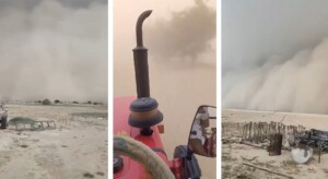 tempesta di polvere india
