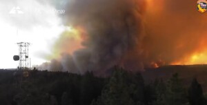 tornadi di fuoco incendio california