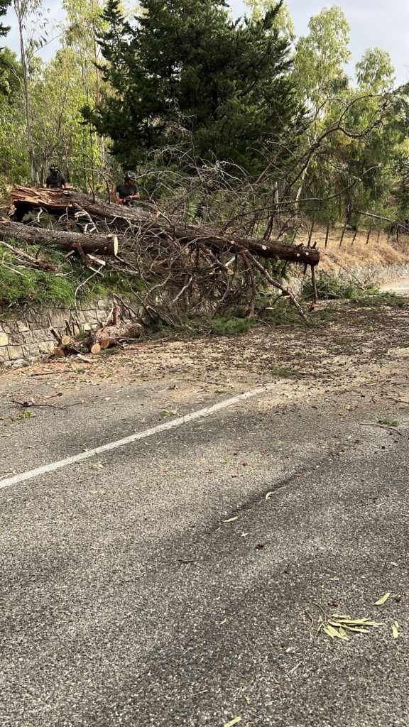 vento Mandatoriccio calabria