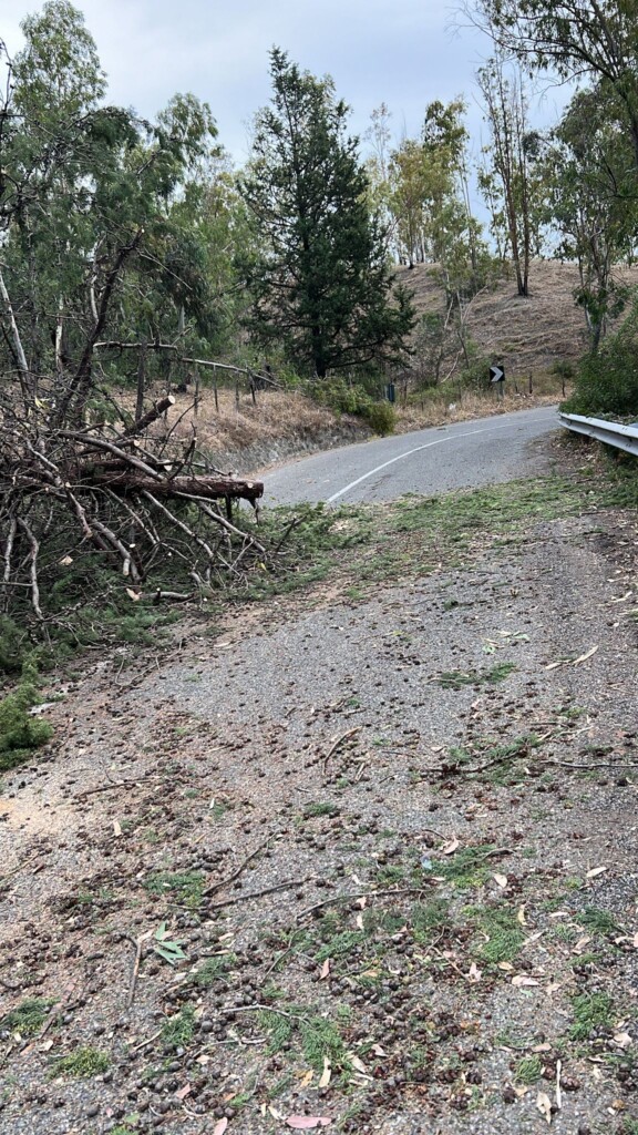 vento Mandatoriccio calabria