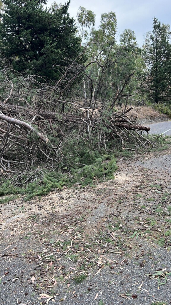 vento Mandatoriccio calabria