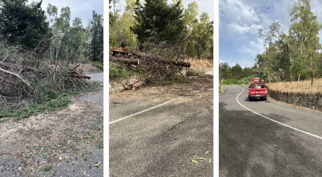vento Mandatoriccio calabria