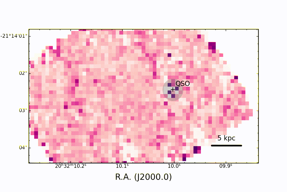 webb quasar galassie