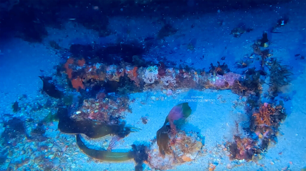 Andrea Murdock Alpinni (PHY DIVING) con un'ancora di tipo ammiragliato ritrovata