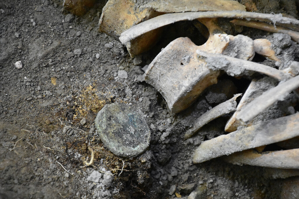 pompei vittime eruzione scoperta