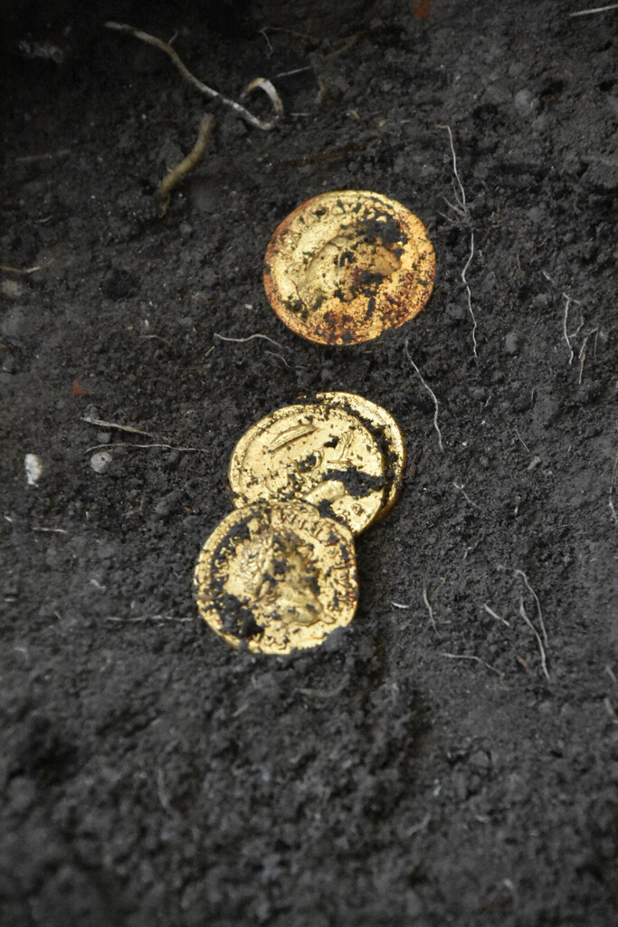 pompei vittime eruzione scoperta