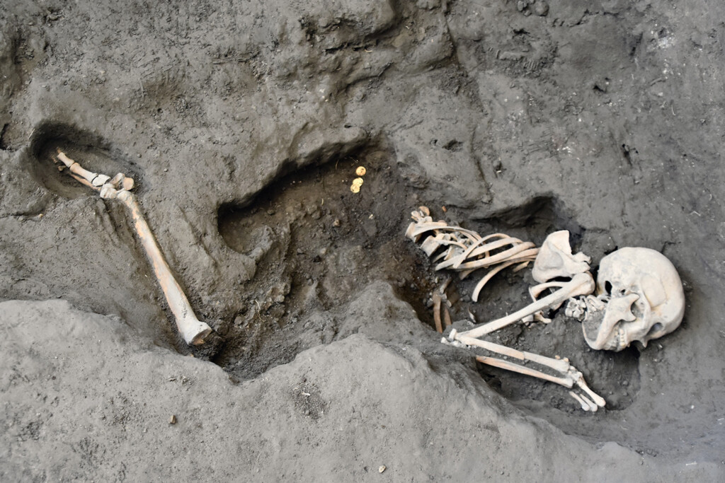 pompei vittime eruzione scoperta