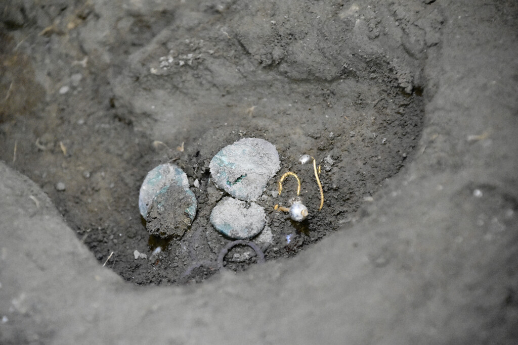 pompei vittime eruzione scoperta