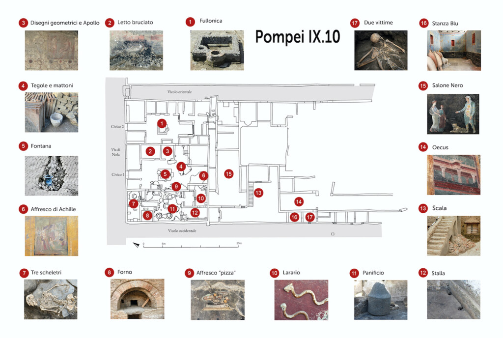pompei vittime eruzione scoperta