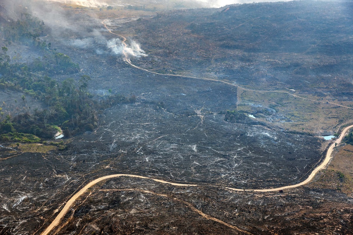 In Amazzonia, persa in 40 anni un’area forestale grande quanto la Colombia