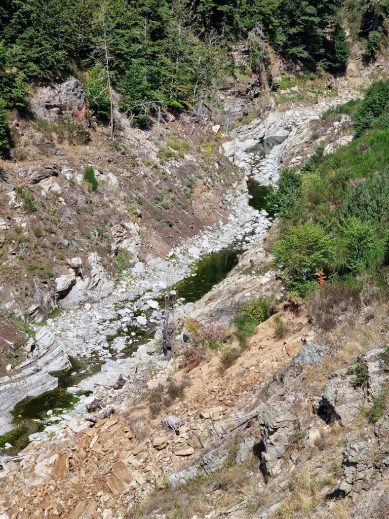 diga del menta