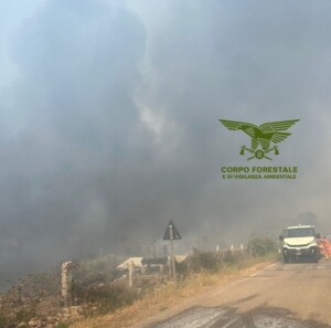 incendi sardegna