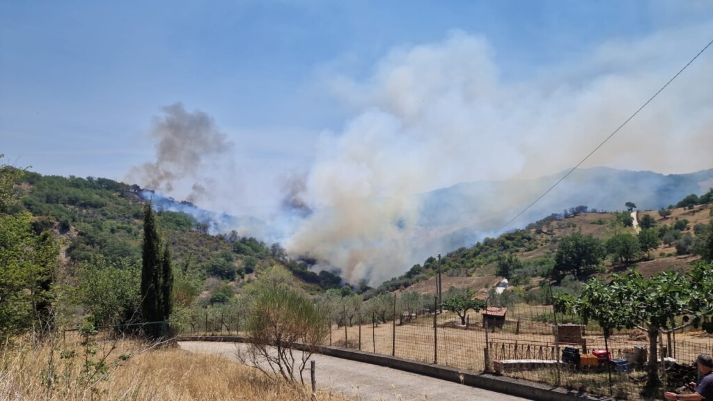 incendio accettura basilicata
