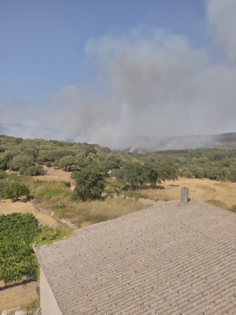 incendio calangianus sardegna