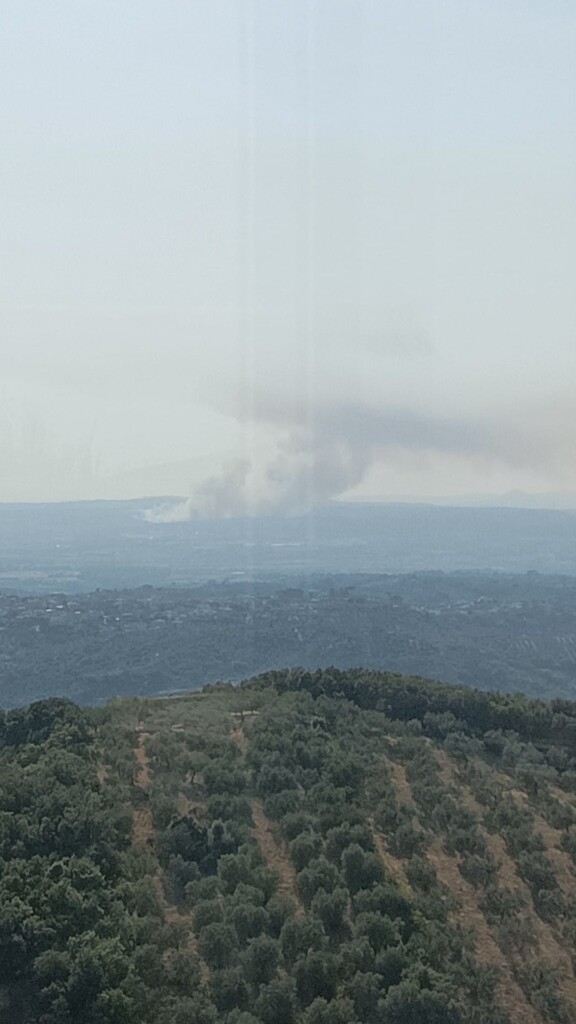 incendio castelnuovo di porto lazio