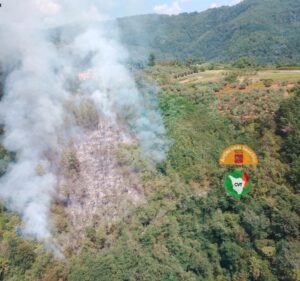 incendio marliana toscana