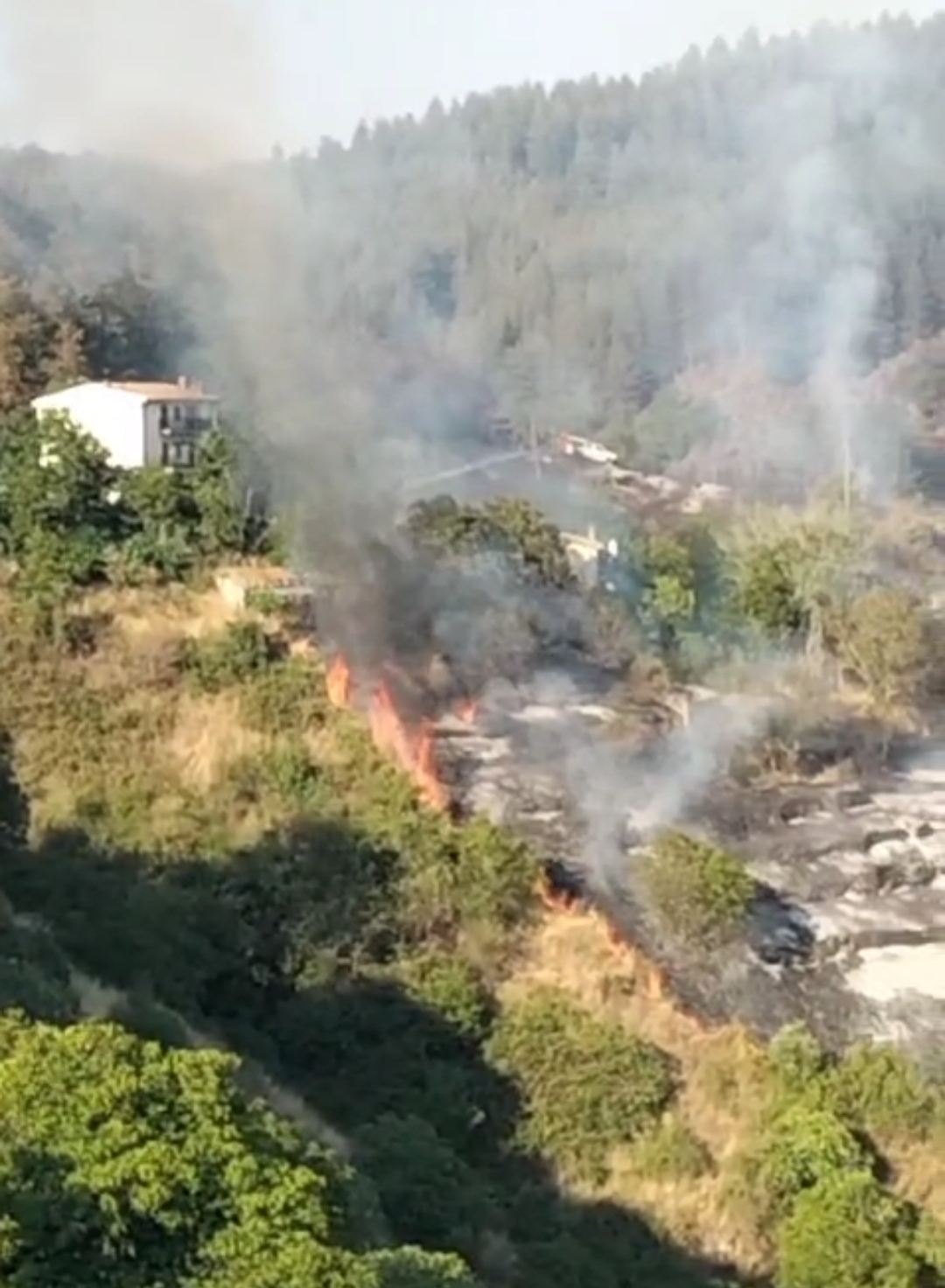 incendio san giovanni in fiore calabria