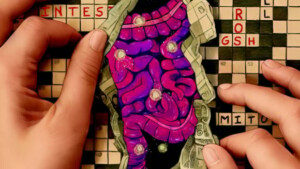 intestino