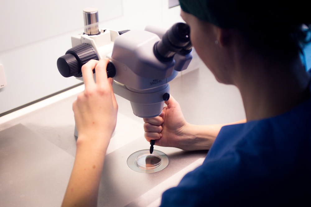 Fecondazione assistita