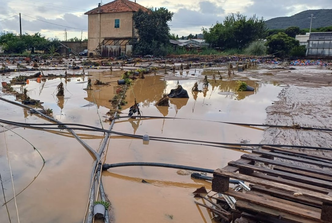 Maltempo, 6 mesi fa l’alluvione di Albenga: “ancora nessun aiuto alle aziende”